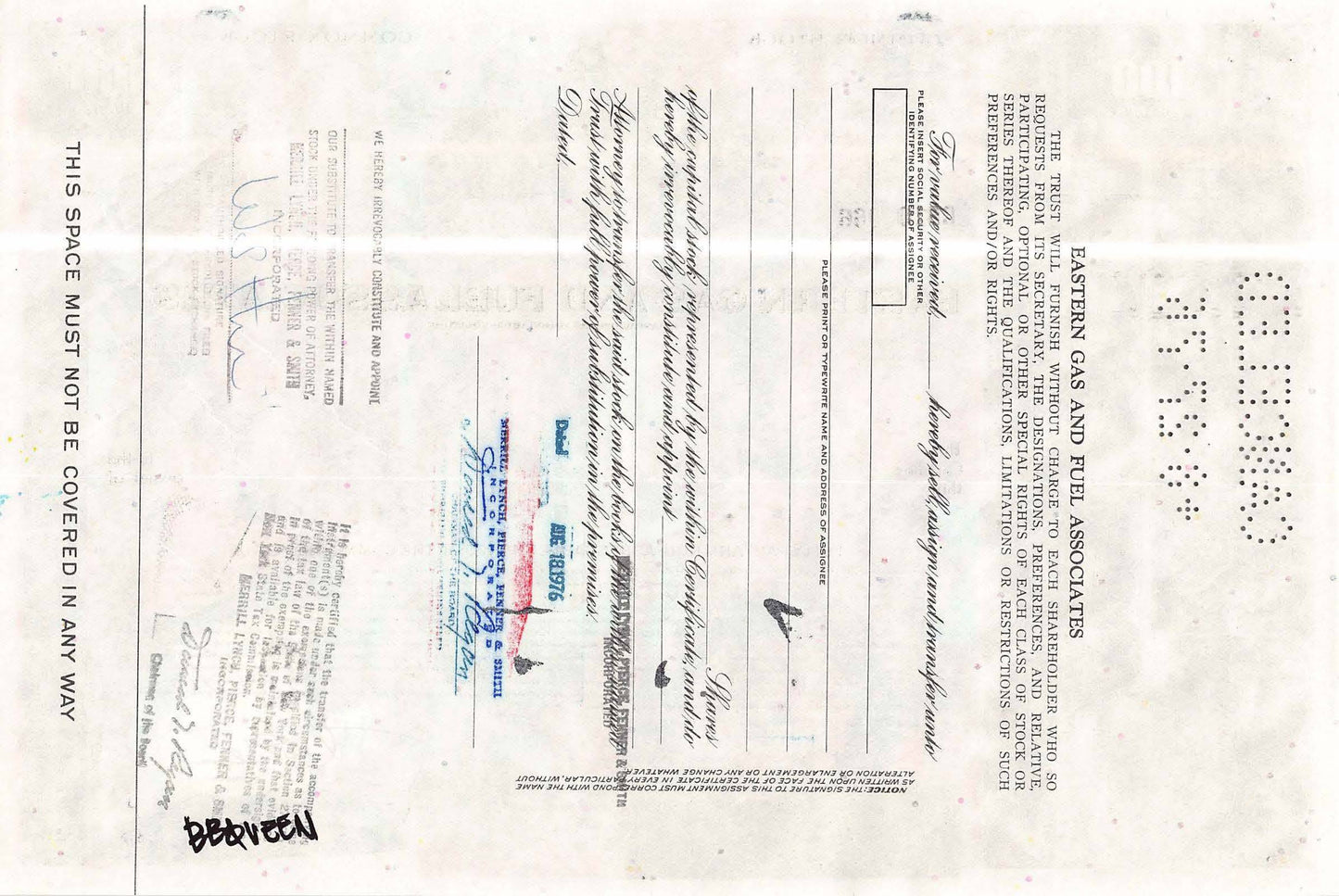 Beware of the cat by BBQUEEN - Signature Fine Art