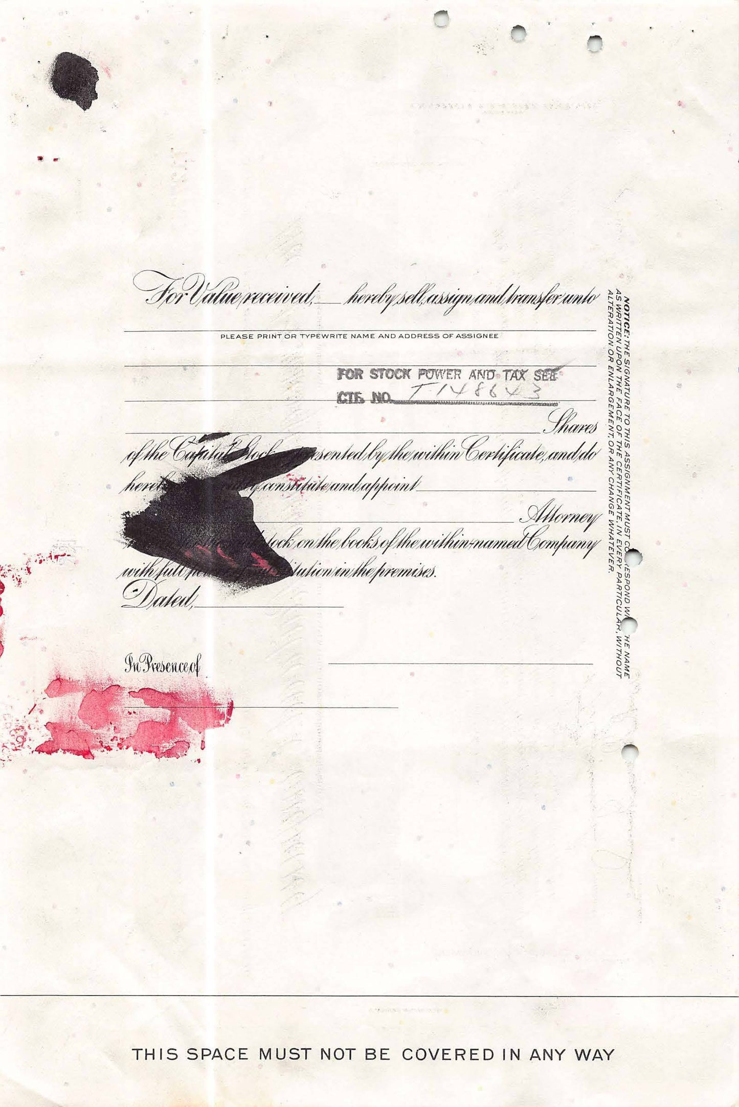 Who see the batdino? by Dinopak - Signature Fine Art