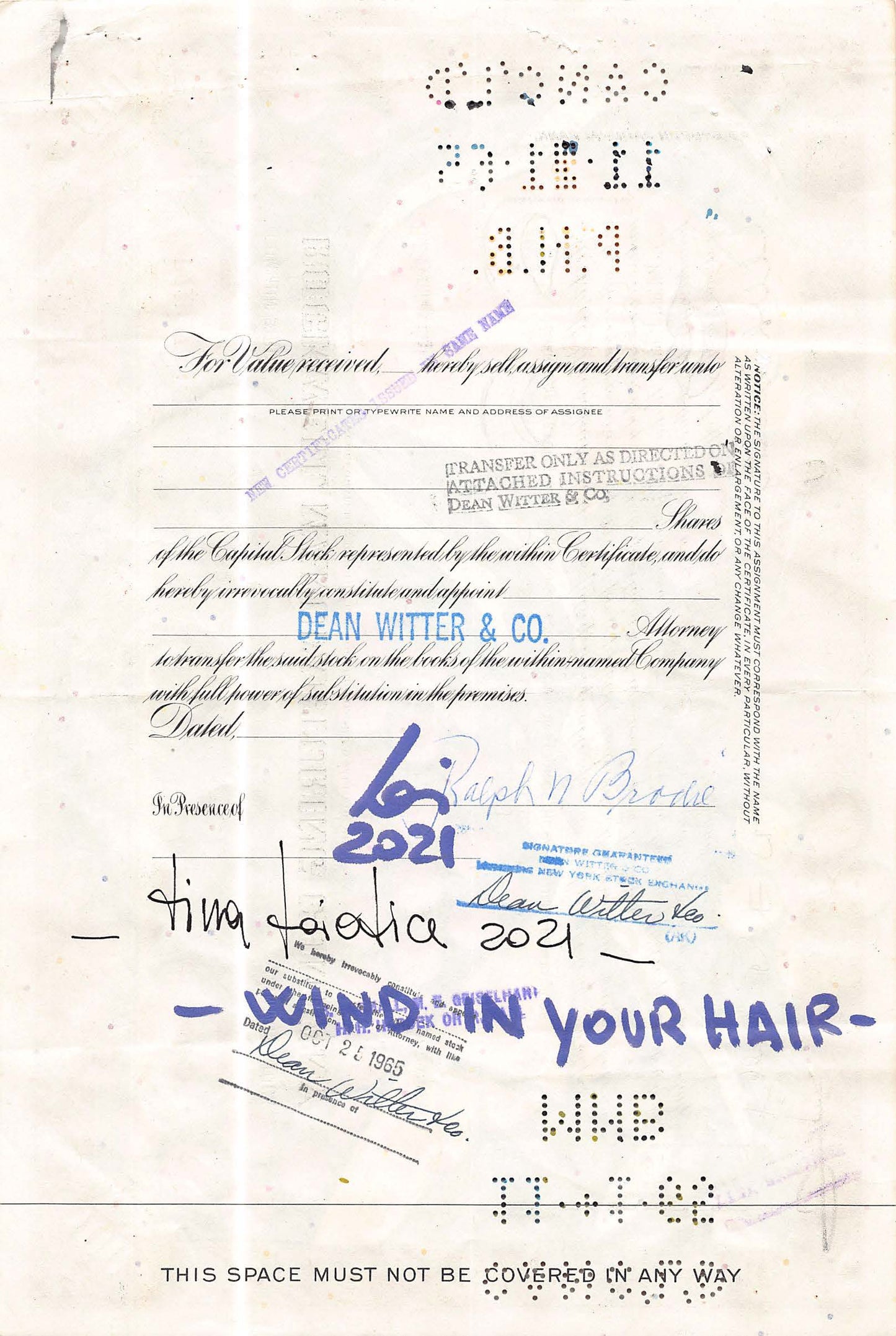 Wind in Your Hair by Tina Loiodice - Signature Fine Art