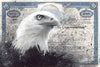 Eagle by Horss - Signature Fine Art